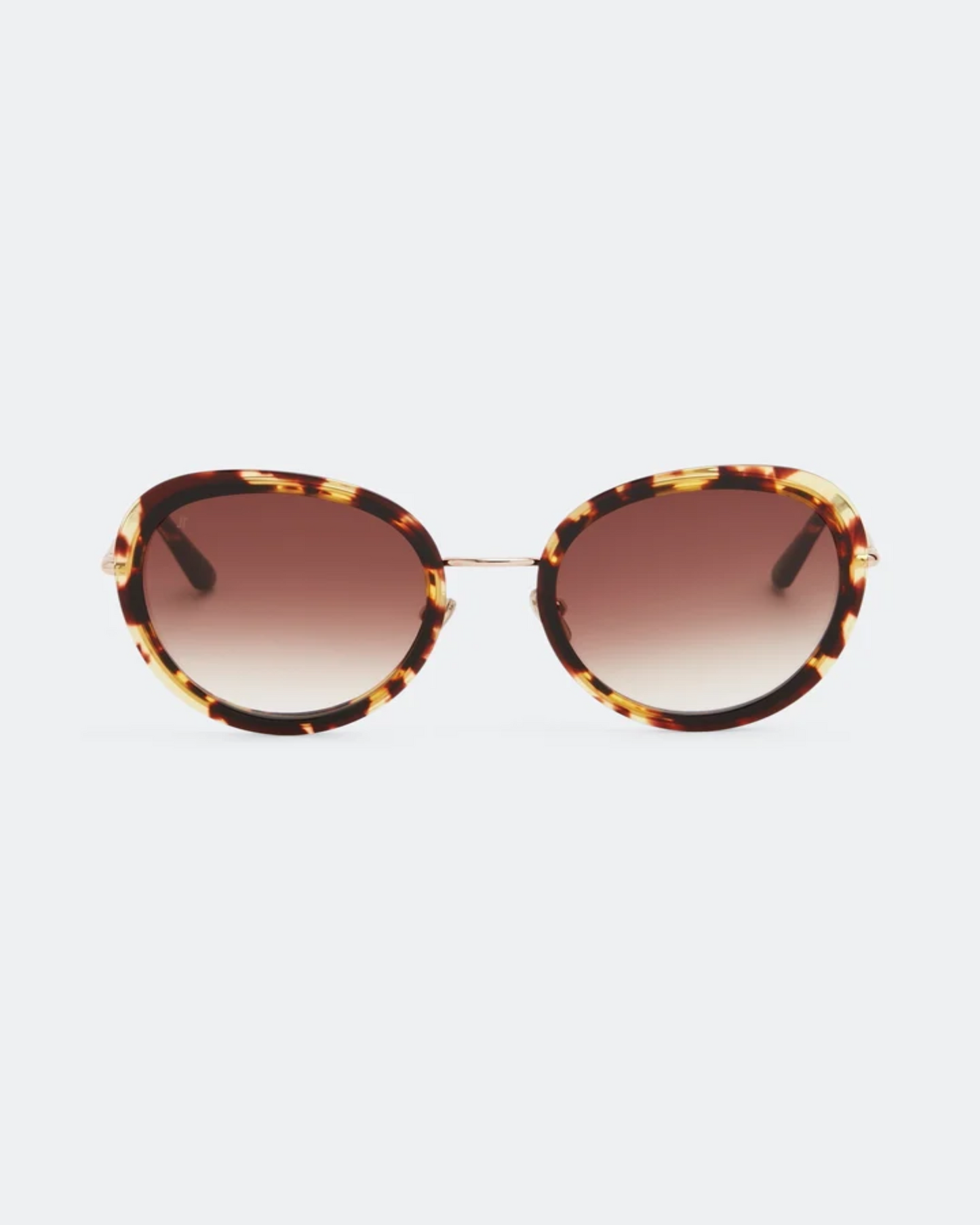 JIMMY FAIRLY SEAWALL C123-E55S